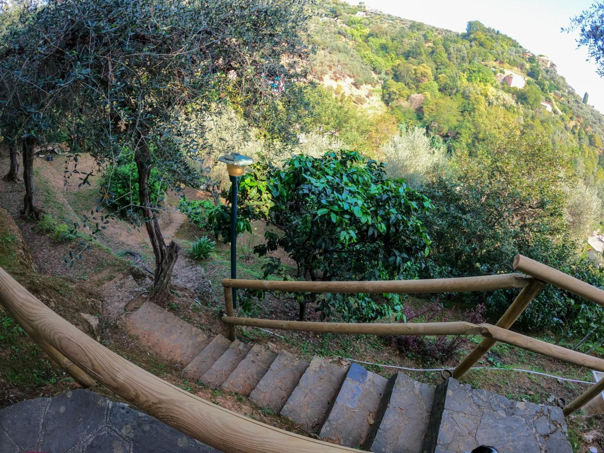 B&B Portofino Dış mekan fotoğraf